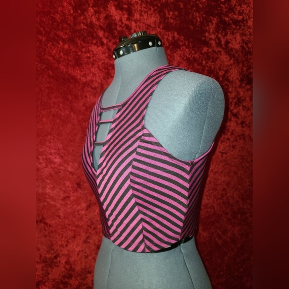 Purple/Pink Stripes Crop Top from 2B Bebe - Picture 2 of 4